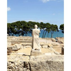 La sabiesa d’Atenea